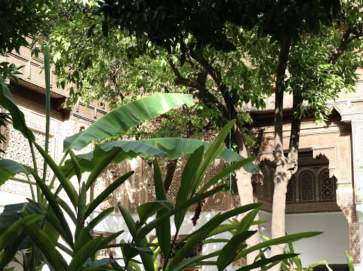img garten