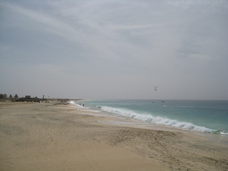 IMG 0175