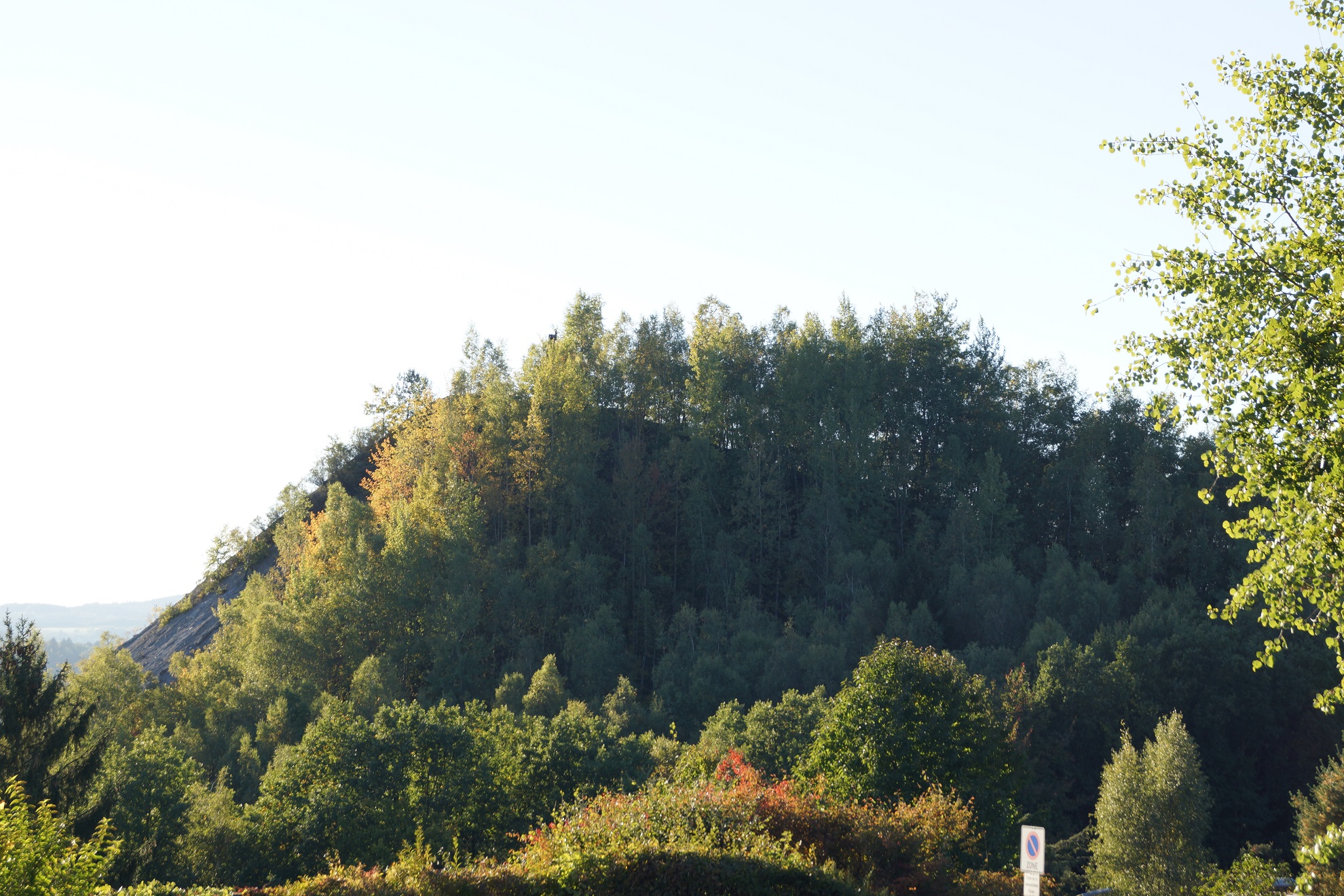 Sommer