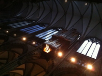 IMG 7817