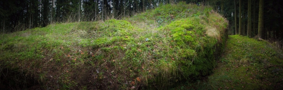 Titelbild Burg kopie