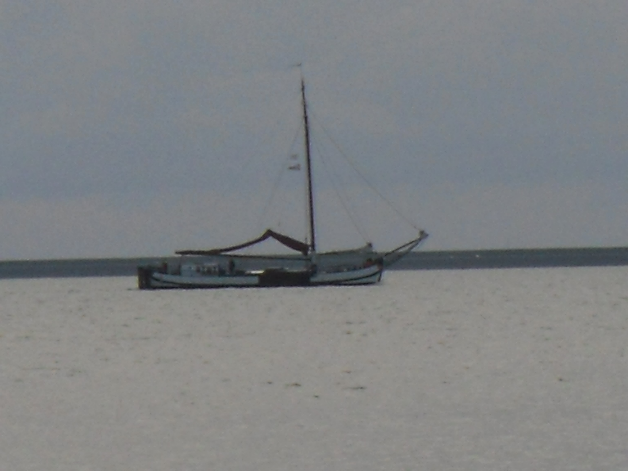 SDC11038