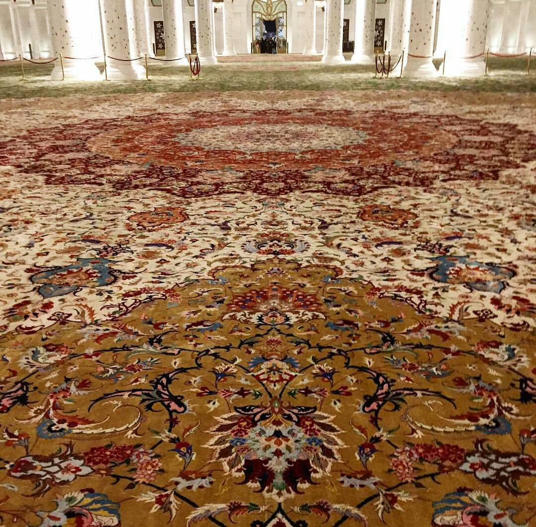12615603_738513762946657_7834064364197363834_o.jpg
