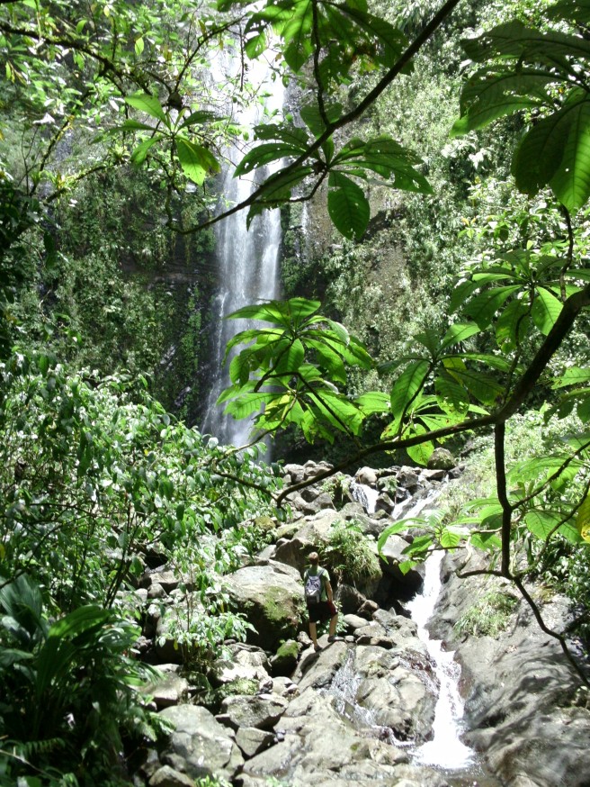 Wasserfall Fern 2 Custom